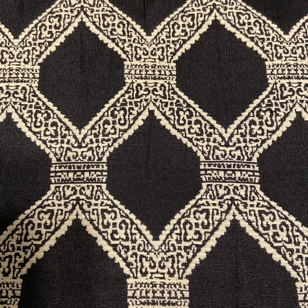 Shower Curtain & 12 black rings